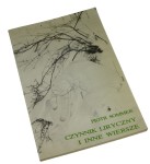 Czynnik liryczny 1980-82 ​Sommer Piotr [AUTOGRAF / LONDYN 1988]