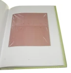 Michał Budny Żywica [katalog wystawy] (2015)