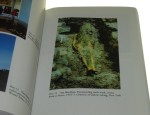 Terra Infirma Geography's visual culture Rogoff Irit (2006)