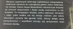 Muzeum zaginionych dzieł. Historia kradzieży dzieł sztuki Houpt Simon [2007]