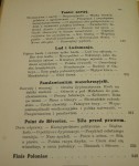 Finis Poloniae Sclavus Wiesław (1906)