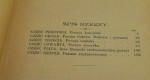 Przegląd dziejów literatury powszechnej Tom II Wieki średnie German Ludomił (1902)
