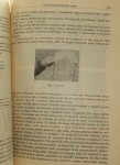 Kształtowanie podzielności uwagi u uczących się gry w piłkę ręczną Szymański Antoni (1966)