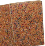 Ringerkunst (Ringer Kunst) Funff und achtzig Stucke - zu ehren Kurfurstlichen gnaden zu Sachsen Auerswald Fabian von (1539 - reprint - 1887)