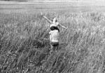 Przeprowadzka [Wojciech Pszoniak w łanach żyta] reż. Jerzy Gruza [fotografia filmowa]