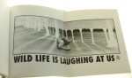 Dzikie życie - Wild Life Staniszewski Jacek (katalog wystawy)  [1998]