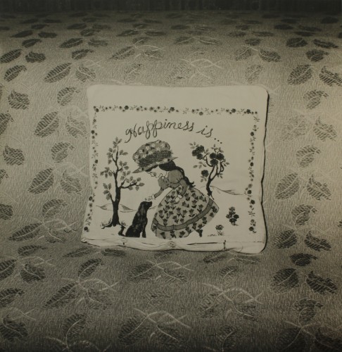 Andrzej Lachowicz Still Life [fotografia / vintage print ]