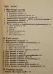 Poroże jeleniowatych Jaczewski Zbigniew (1981)