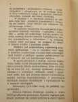Rozmyślania o Konstytucji Polskiej Czwarta Brygada maszeruje Leopolita Walenty [1928]