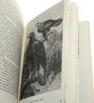 Z sokołami na łowy Mazaraki Mieczysław (1977)