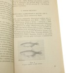 Danjo Ich życie i hodowla w akwariach Wskazówki techniczne dla hodowców ryb akwariowych Lorec Zygmunt [1955]