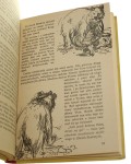 Władca Skalnej Doliny Curwood J. O.  [1954]