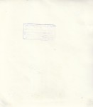 Edward Hartwig Wierzby fotografia [lata 60. Vintage print]