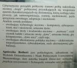 Cybernetyczny porządek polityczny Rothert Agnieszka [2005]