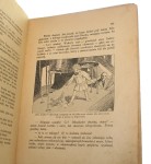 Jaś - Ptaś przyjaciel ptaszków Z ang. wg May Crommelin'a przerobiła Jadwiga Szeptycka (1922)