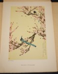 Contemporary Chinese Paintings [Współczesne malarstwo chińskie, ChRL] praca zbiorowa [TEKA / 1955]