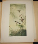 Contemporary Chinese Paintings [Współczesne malarstwo chińskie, ChRL] praca zbiorowa [TEKA / 1955]