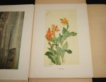 Contemporary Chinese Paintings [Współczesne malarstwo chińskie, ChRL] praca zbiorowa [TEKA / 1955]