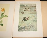 Contemporary Chinese Paintings [Współczesne malarstwo chińskie, ChRL] praca zbiorowa [TEKA / 1955]