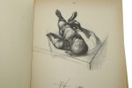 Anatomia dla artysty Barcsay Jeno [1988]