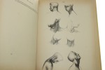 Anatomia dla artysty Barcsay Jeno [1988]