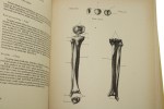 Anatomia dla artysty Barcsay Jeno [1988]