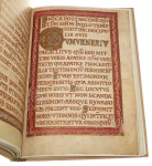 Codex Aureus Gnesnensis [Złoty kodeks gnieźnieński] t. I. Commentarii t. II. Faksymile komentarz napisał Tadeusz Dobrzeniecki [1988]