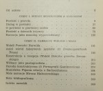 Gry powieściowe Szkice z teorii i historii form narracyjnych Głowiński Michał