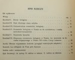 Kolegiata w Tumie pod Łęczycą Walicki Michał (1938)