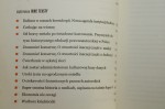 Dwa zero Alfabet nowej kultury i inne teksty Mirosław Filiciak, Alek Tarkowski [2014]