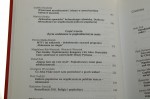 Kulturowo-polityczny avatar Kultura popularna jako obszar konfliktów i wzorów społecznych red. nauk. Piotr Żuk [2013]