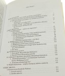 Między teoriami a fikcją literacką Łebkowska Anna (Horyzonty Nowoczesności) (2001)
