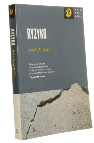 Ryzyko Jakob Arnoldi (Key Concepts) (2011)