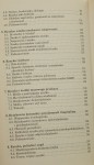 Ryzyko Jakob Arnoldi (Key Concepts) (2011)