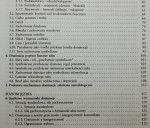 Retoryka dominacji Jacek Wasilewski [2006]