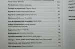 Studia nad granicami i pograniczami Leksykon redakcja naukowa Elżbieta Opiłowska, Marcin Dębicki, Kamilla Dolińska, Justyna Kajta, Zbigniew Kurcz, Julita Makaro, Natalia Niedźwiecka-Iwańczak [2020]