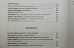 Nowe media w komunikacji społecznej w XX wieku projekt i red. nauk. Maryla Hopfinger [2002]