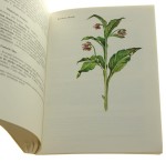 Zioła i ich stosowanie Historia i współczesność Barbara Kuźnicka, Maria Dziak [1984]