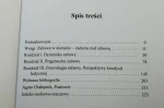 Świat zabaw Narodziny nowego wieku ludycznego James E. Combs [Dromena / 2011]