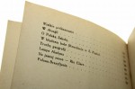 Wśród polskich conquistadorów (plemię zdobywców) Wrażenia i przygody z podróży po południowej Brazylji Apolonjusz Zarychta [ca 1930]