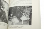 Figures of Ill Repute Representing Prostitution in Nineteenth-Century France [Prostytucja w XIX-wiecznej Francji] Charles Bernheimer [1997]