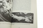 Figures of Ill Repute Representing Prostitution in Nineteenth-Century France [Prostytucja w XIX-wiecznej Francji] Charles Bernheimer [1997]