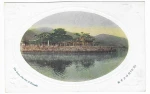 [Japonia] Japan. The Great pine tree of Karasaki [pocztówka / postcard / przed 1940]
