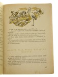 Kajtkowe przygody Kownacka Maria [ilustr. Konstanty M. Sopoćko / 1954]