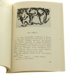 "Wilki" nad rzeką Senio Karol Kleszczyński (Rzym / 1945)