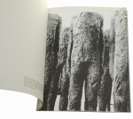 Gdzie jest twój brat Abel katalog wystawy Zachęta 1995-05-07 do 1995-08-20 kurator: Anda Rottenberg [m. in. Magdalena Abakanowicz, Moshe Gershuni, Krzysztof Wodiczko]