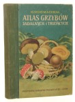 Atlas grzybów jadalnych i trujących oprac. tekst H. Orłoś [1955]