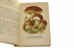 Atlas grzybów jadalnych i trujących oprac. tekst H. Orłoś [1955]