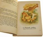 Atlas grzybów jadalnych i trujących oprac. tekst H. Orłoś [1955]