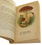 Atlas grzybów jadalnych i trujących oprac. tekst H. Orłoś [1955]
